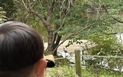 [참가 후기1] 새벽액션단 : 작은 행동들이 모여 큰 변화를 만들기를!