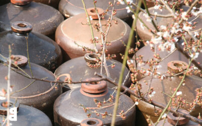 [참여] 절기를 따라 시간을 남기는 모임, 녹색 장독대