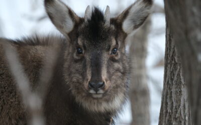 전국의 녹색연합을 응원해 주세요