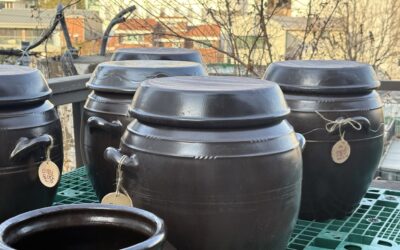 [후기] 녹색장독대 : 우수와 경칩사이, 우리의 첫 번째 걸음